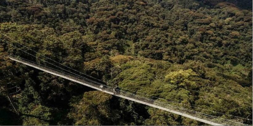 Nyungwe-Forest-National-Park